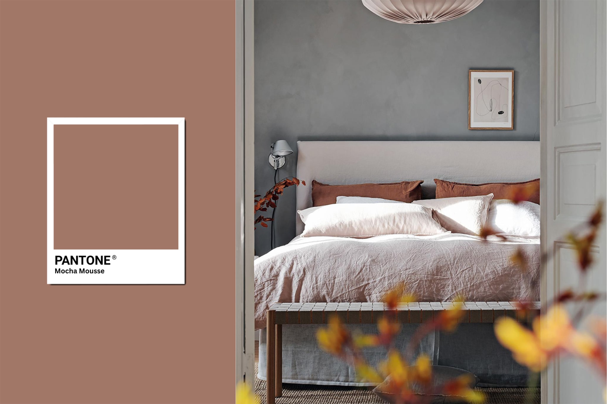 Pantone 2025 Colour of the year - Mocha Mousse